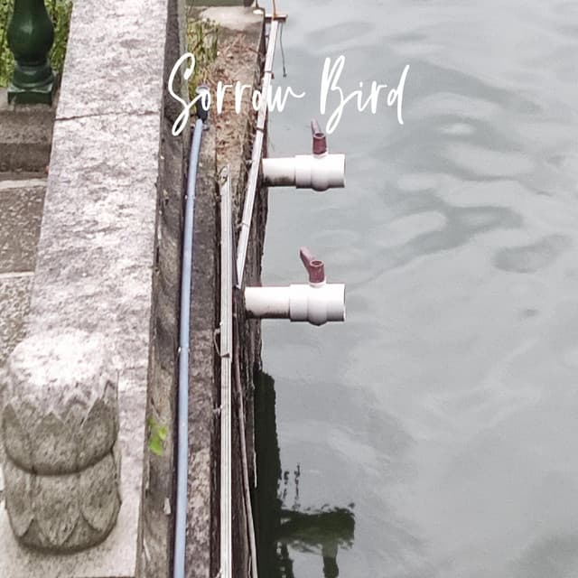 Sorrow Bird - PurePiano