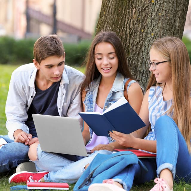 Nature's Cricket Melody: Chill Sound Study Atmosphere - Forest Crickets