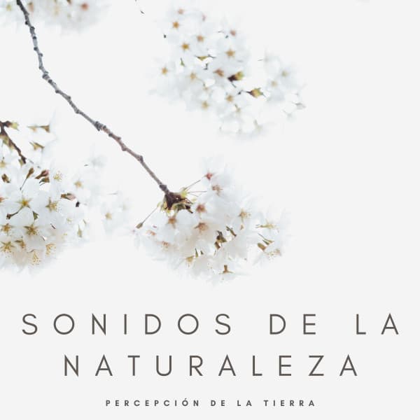 Sonidos De La Naturaleza: Percepción De La Tierra - Calma y Relajación