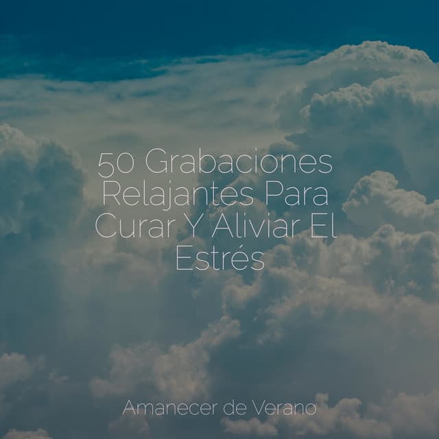 50 Grabaciones Relajantes Para Curar Y Aliviar El Estrés - Sonido de lluvia