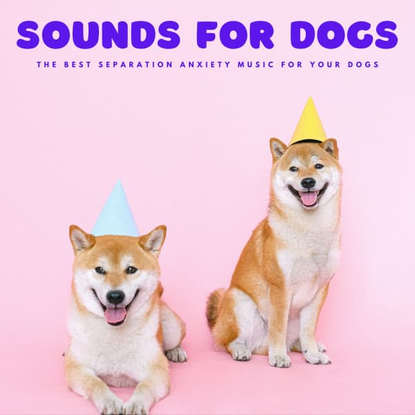 Sounds For Dogs: The Best Separation Anxiety Music For Your Dogs - Relaxing Dog Music Society