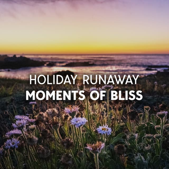 Holiday Runaway Moments Of Bliss - Chemical Bonding
