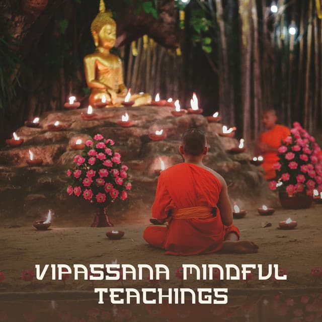 Vipassana Meditation Zone