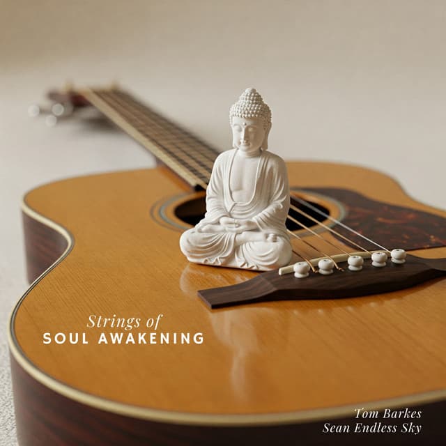 Strings of Soul Awakening - Tom Barkes