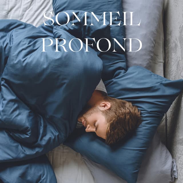 Sommeil Profond - Le Sommeil