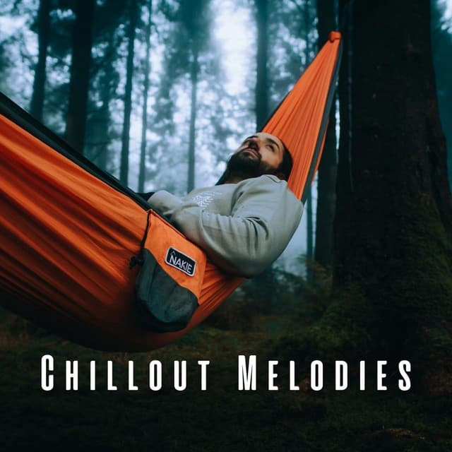 Chillout Melodies: Music for Relaxation Moments - Korean Chill