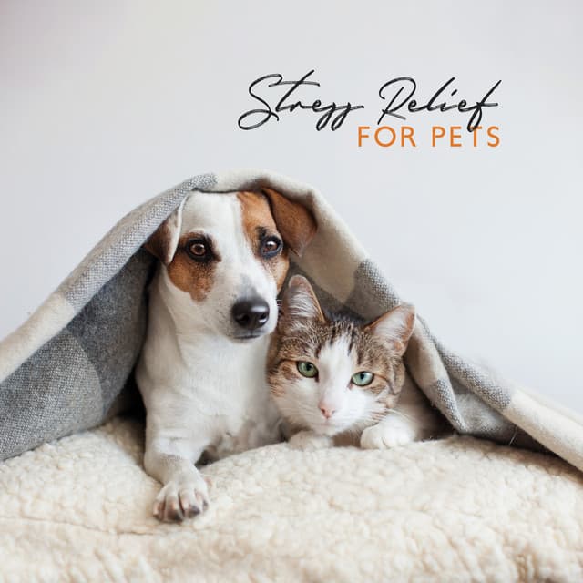 Stress Relief for Pets - Nature Ambience
