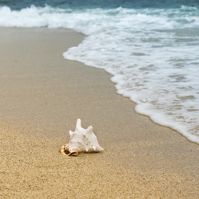 Airplane Noise and Rain White Noise for Sleeping and Mind Focus. Reduce Stress Noise, Calm Down and Better Sleep. - Baby Shusher