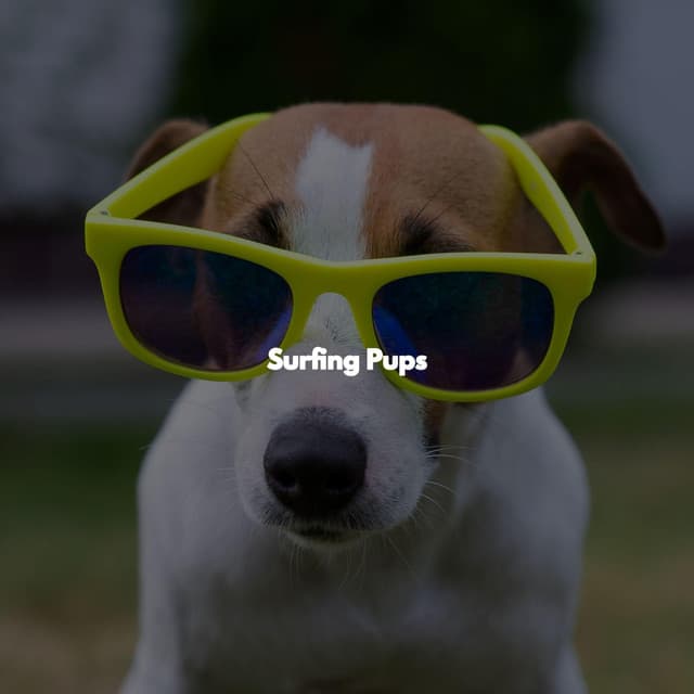 Surfing Pups - Relaxing Jazz
