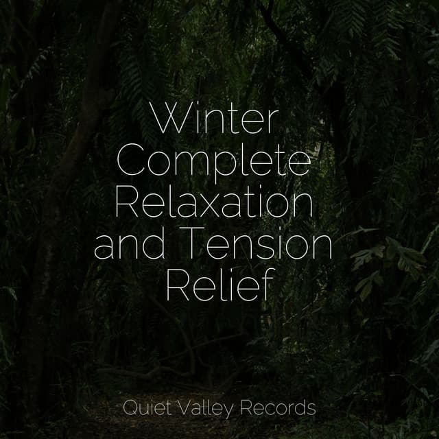 Winter Complete Relaxation and Tension Relief - Yoga Soul