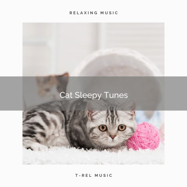 Cat Sleepy Tunes - Cats Music Den