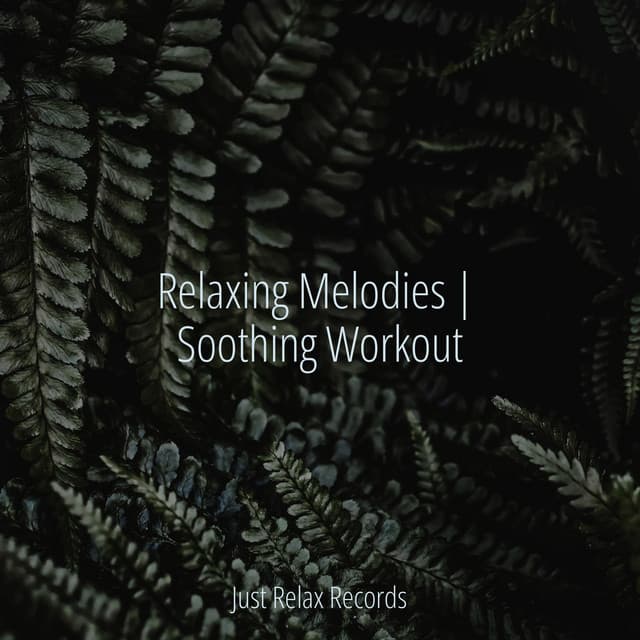 Relaxing Melodies | Soothing Workout - Sonido Del Bosque y Naturaleza