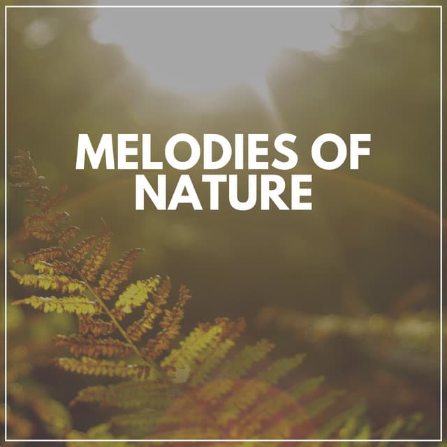Melodies of Nature - Island Nature Sounds