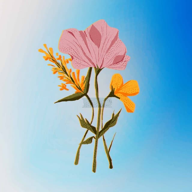 Music for First Horizons - Soft Background Music