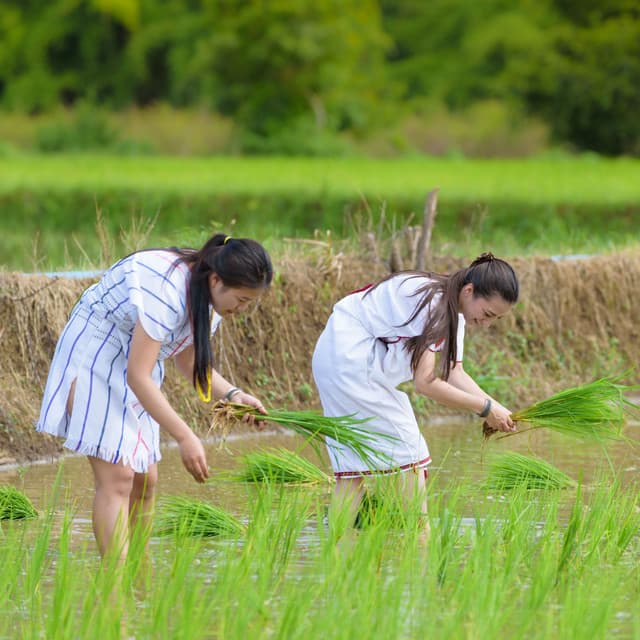 Rainy Chill: Relax at Work with a Binaural Soundscape - The Binaural Beats Factory