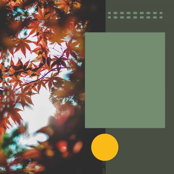 Feelings for Mental Exercises - Study Music Deluxe