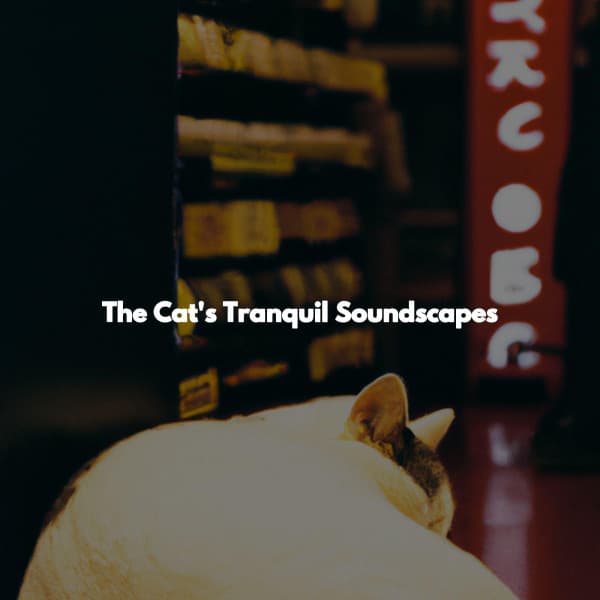 The Cat's Tranquil Soundscapes - Soft Jazz Projects
