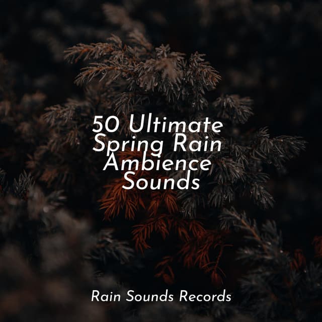 50 Ultimate Spring Rain Ambience Sounds - Cascada de Lluvia