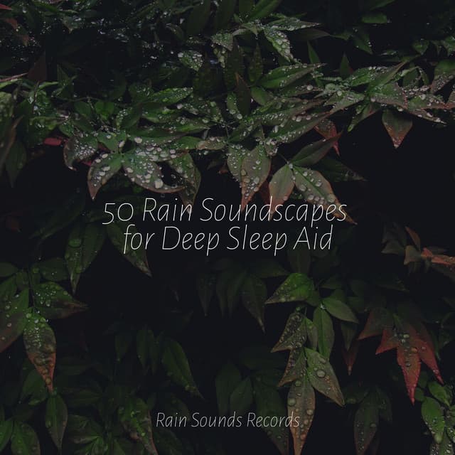 50 Rain Soundscapes for Deep Sleep Aid - Thunderstorm Sound Bank