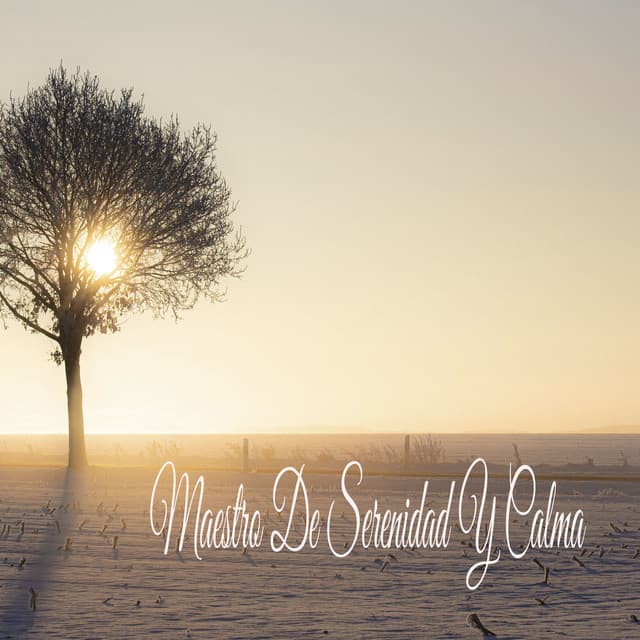 Maestro De Serenidad Y Calma - Música Instrumental Maestro