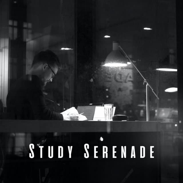 Study Serenade: Elevate Focus with Gentle Pink Noise - Study