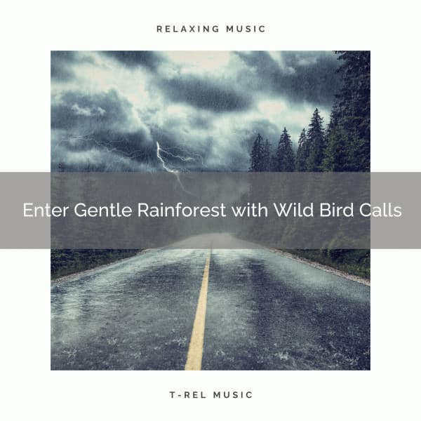 ! ! ! ! ! ! ! ! ! ! Enter Gentle Rainforest with Wild Bird Calls - Heavy Rain Sounds