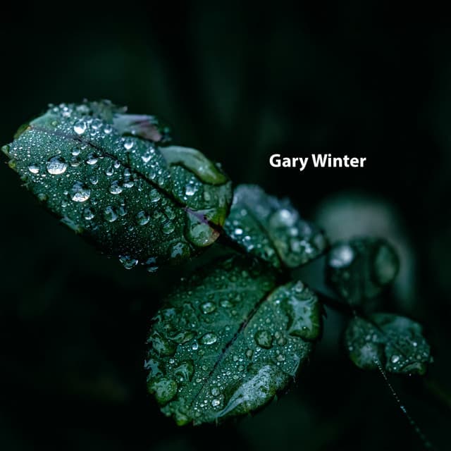 Peace Touched My Skin - Gary Winter
