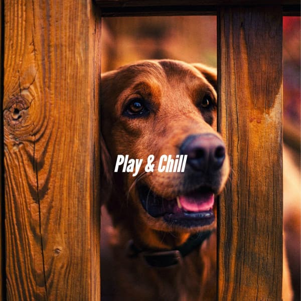 Play & Chill - Relaxing Dog Music