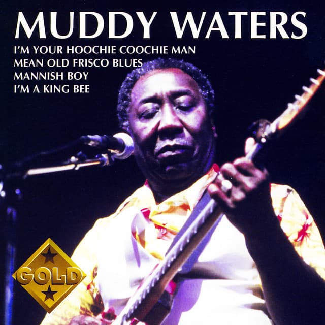 Muddy Waters - Muddy Waters