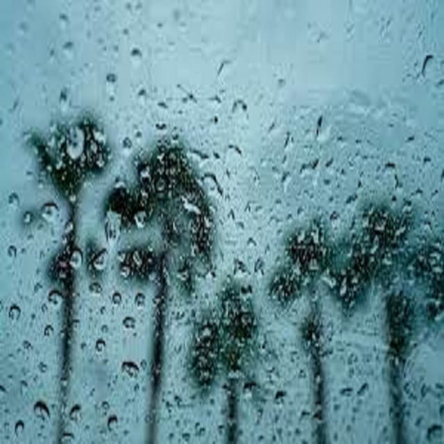 Preparing for the Rain - Natural Sound Selections