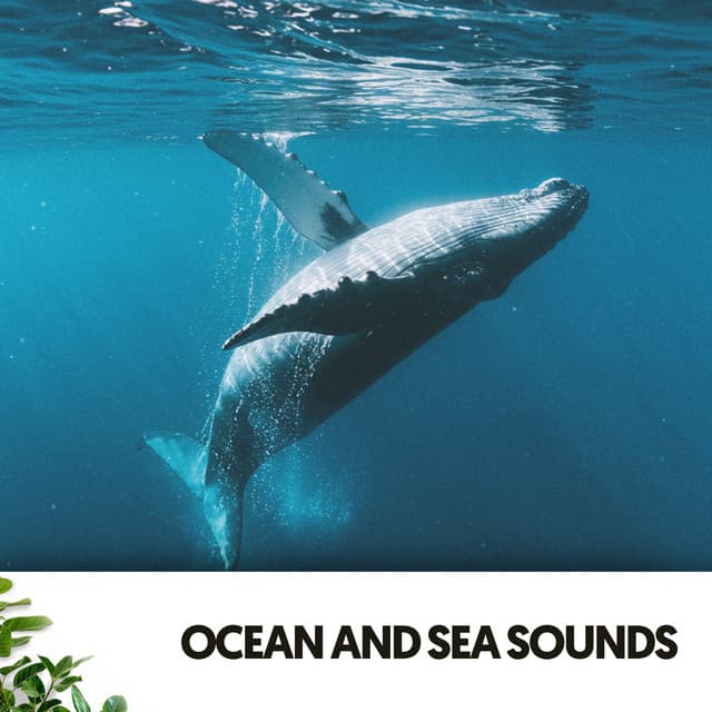 Ocean and Sea Sounds: Deep Thoughs - Cat Music Therapy