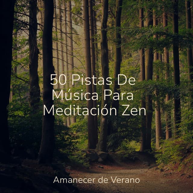50 Pistas De Música Para Meditación Zen - PowerThoughts Meditation Club