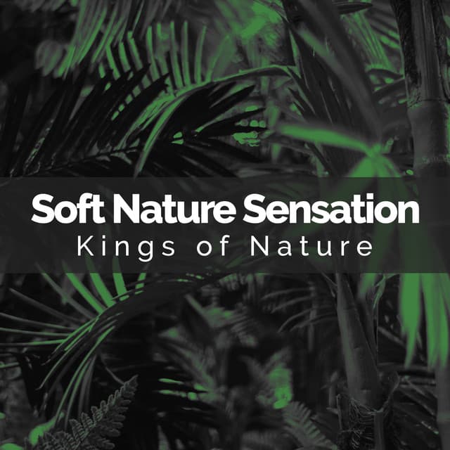 Soft Nature Sensation - Kings of Nature