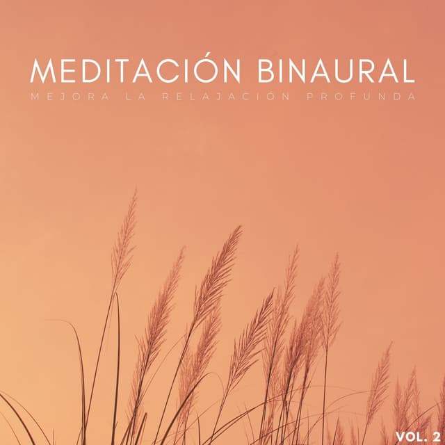 Meditación Binaural: Mejora La Relajación Profunda Vol. 2 - Estados de ánimo binaurales
