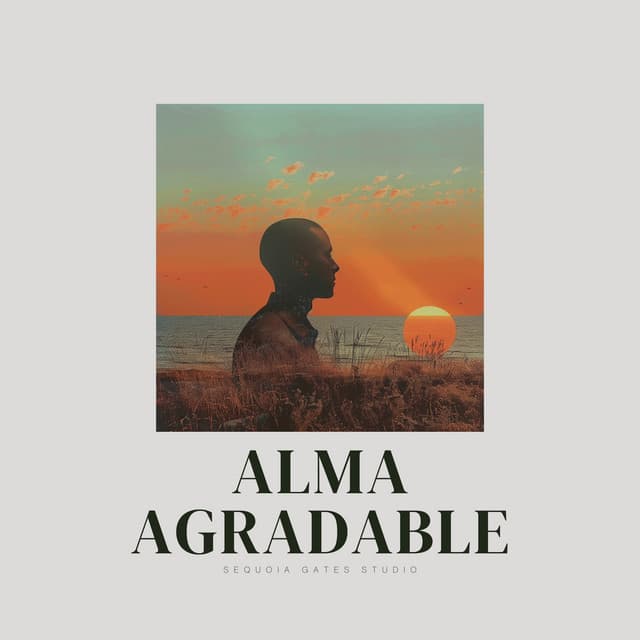 Alma Agradable - Ruído Ambiente
