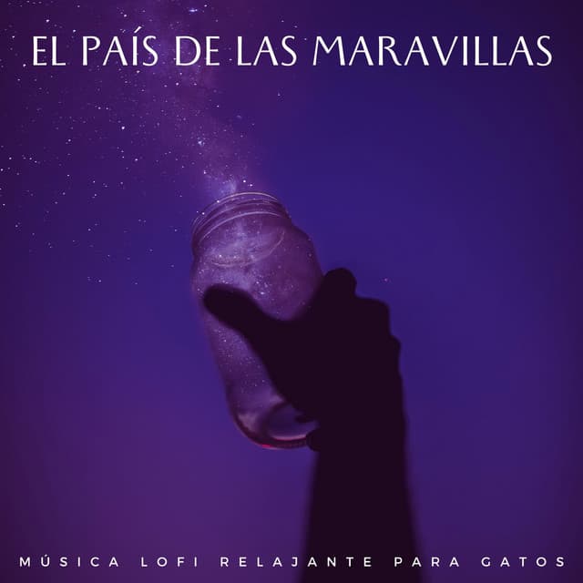 El País De Las Maravillas: Música Lofi Relajante Para Gatos - Relájate Hip Hop