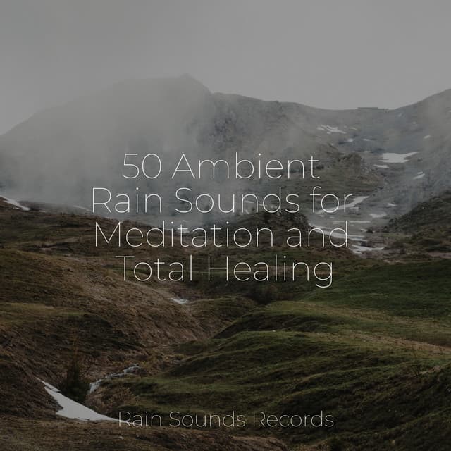 50 Ambient Rain Sounds for Meditation and Total Healing - Cascada de Lluvia