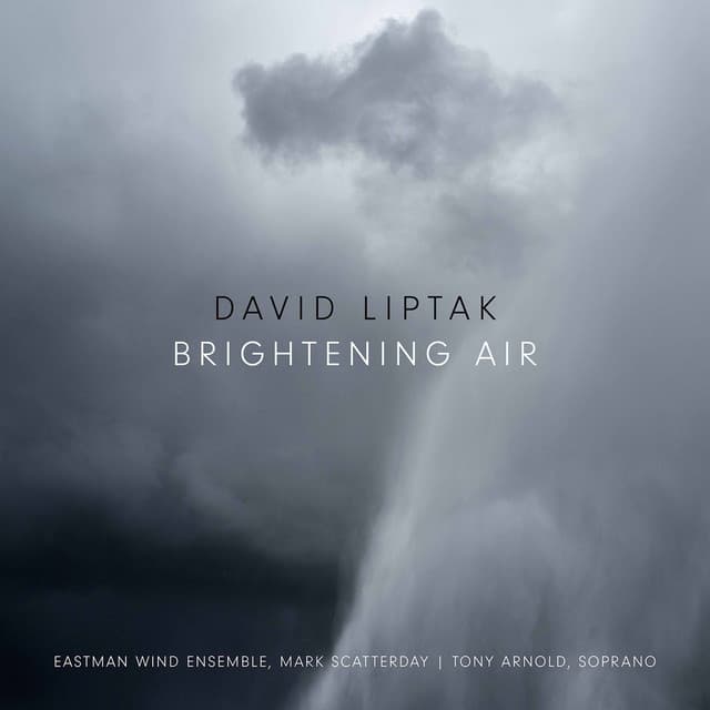 David Liptak