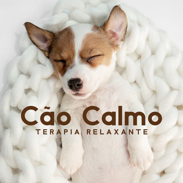 Cão Calmo - Heilende Geräusche Der Natur Academie