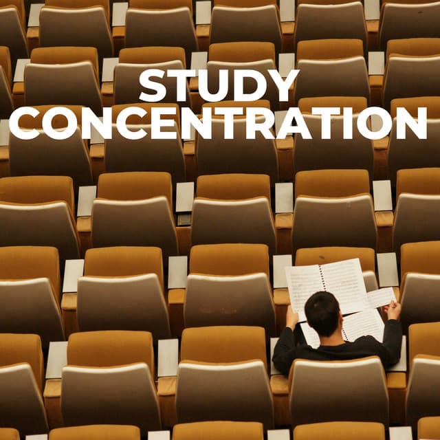 Concentration Soundtracks