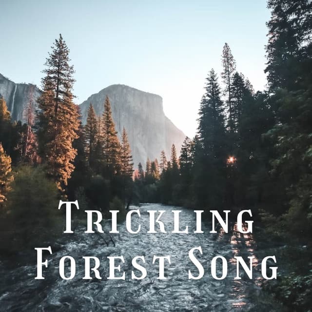 Trickling Forest Song - Nature Lab
