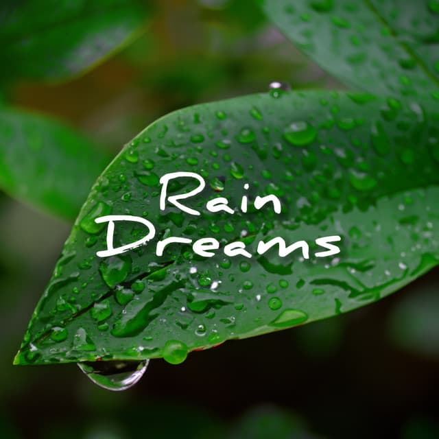 Rain Dreams - Rainforest Sounds
