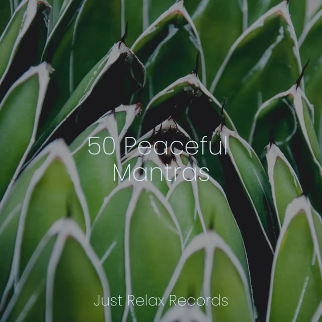 50 Peaceful Mantras - Reiki Tribe