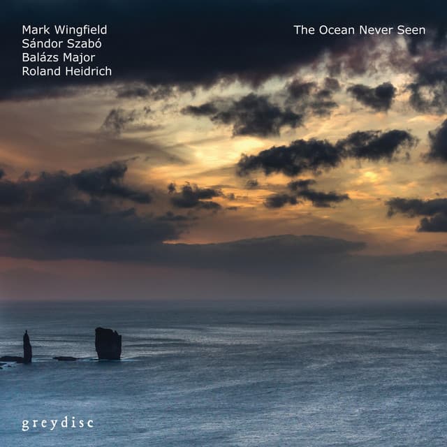 The Ocean Never Seen - Mark Wingfield