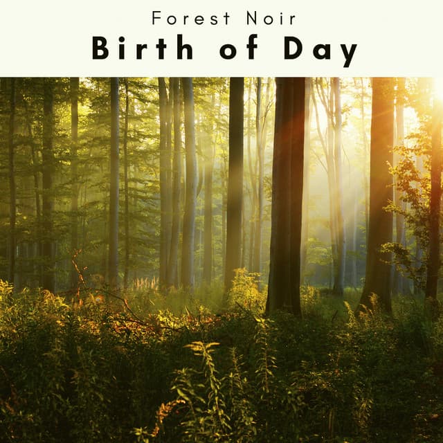 4 Rel: Birth of Day - Forest Noir