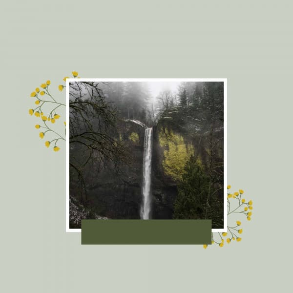 Playful - Relax Music Therapy - 1 Hour Spa Music