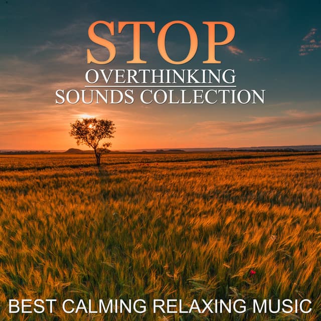 Thinking Music World