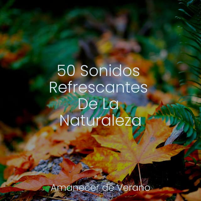 50 Sonidos Refrescantes De La Naturaleza - Musica romantica instrumental