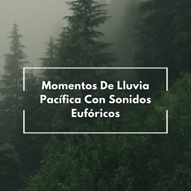 Momentos De Lluvia Pacífica Con Sonidos Eufóricos - Lluvia de Berlín