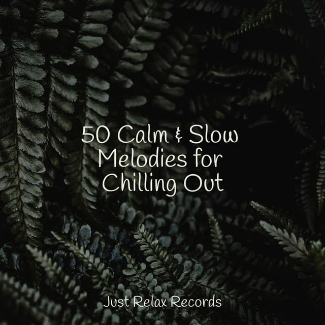 50 Calm & Slow Melodies for Chilling Out - Música Zen Relaxante